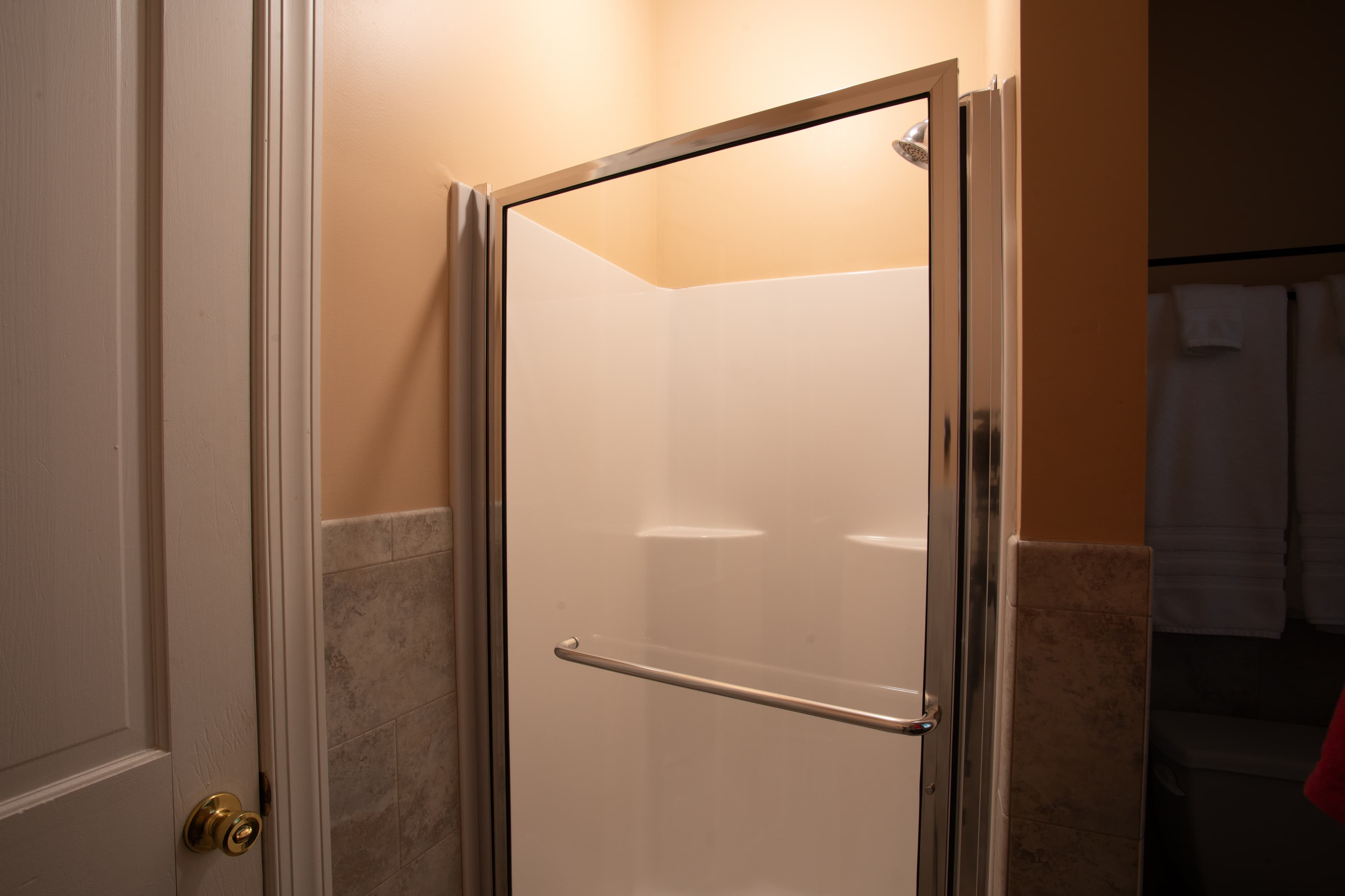 A clean, modern shower stall with a glass door in a softly lit bathroom.