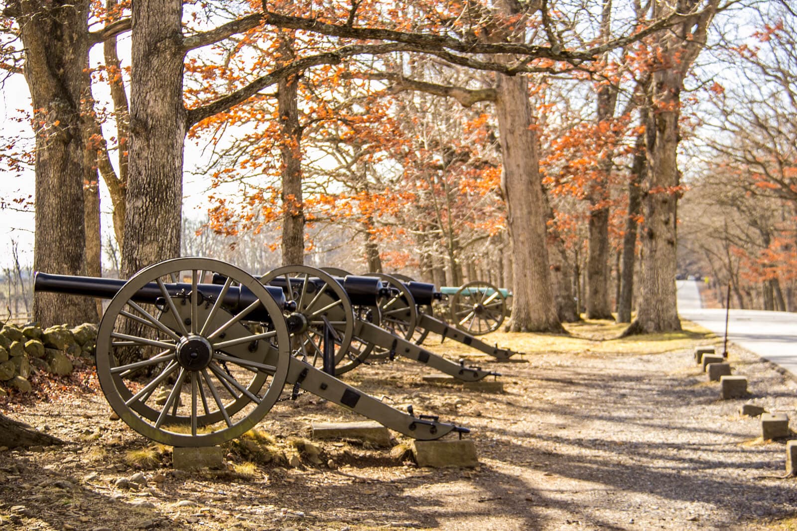 Row of cannons lined along a path beneath trees with autumn leaves.