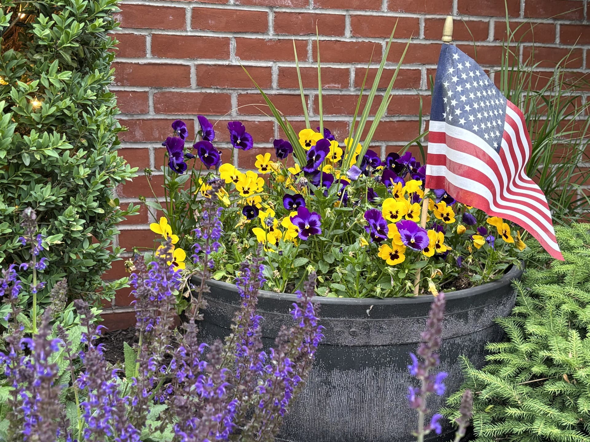 photo of purple and yellow flowers alongside an american flag